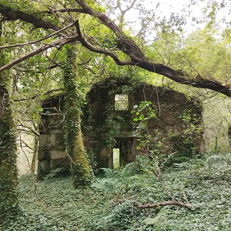 A Cascada Do ézaro * Dumbría