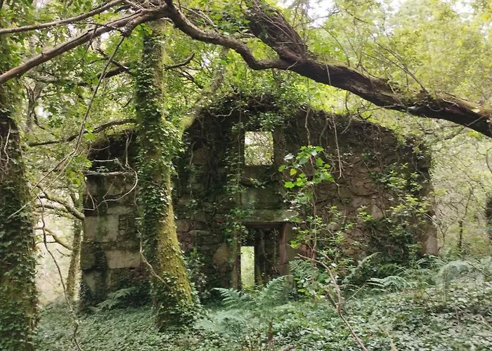 A Cascada Do Ezaro * Dumbria